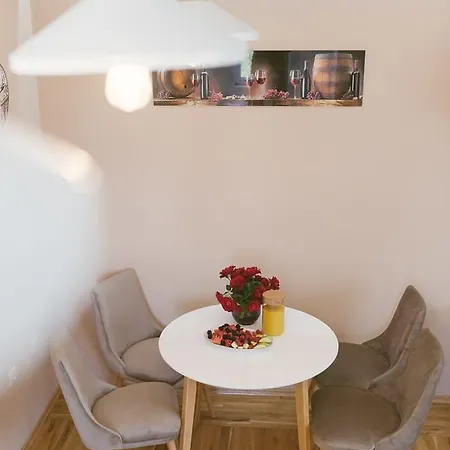 Luxury Explorer Apartment Podgorica